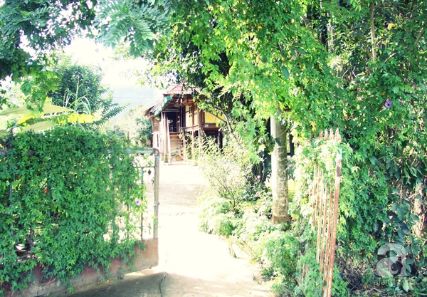 Cô gái người Tày bỏ phố thị phồn hoa về quê làm homestay du lịch 